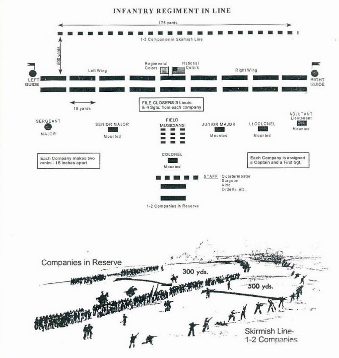 Civil War Army Infantry Structure Chart.jpg