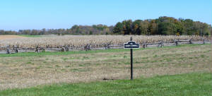 Civil War Battle Antietam Battlefield.jpg