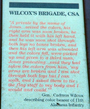 Wilcox Brigade & Gaines Mill.jpg