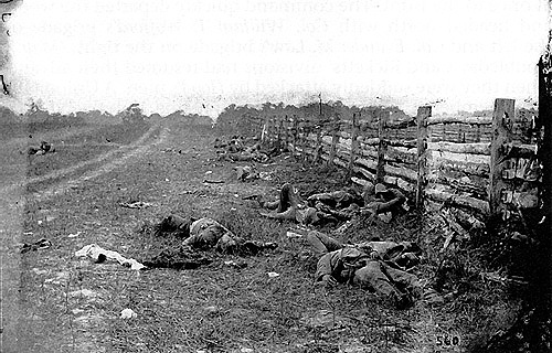 Confederate Dead at Battle of Antietam.jpg