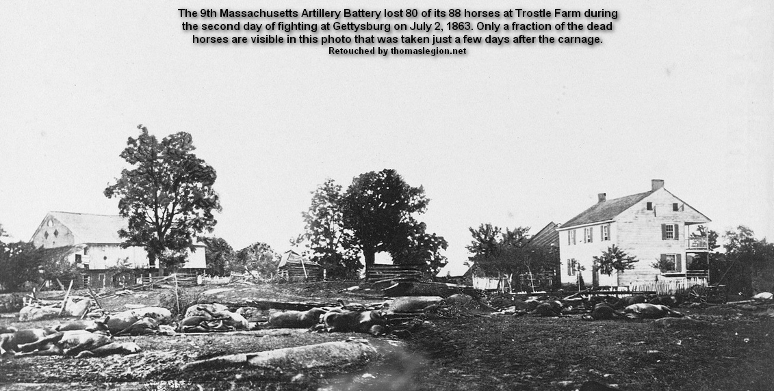 Dead horses Battle of Gettysburg.jpg